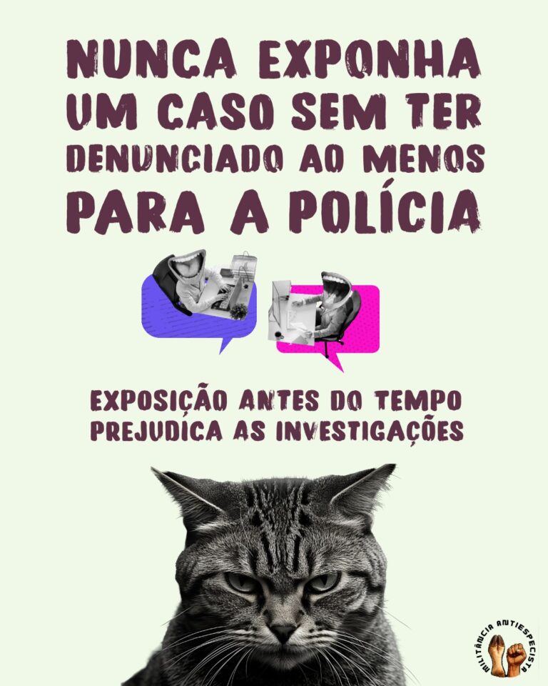 zoosadismo denuncia2-4