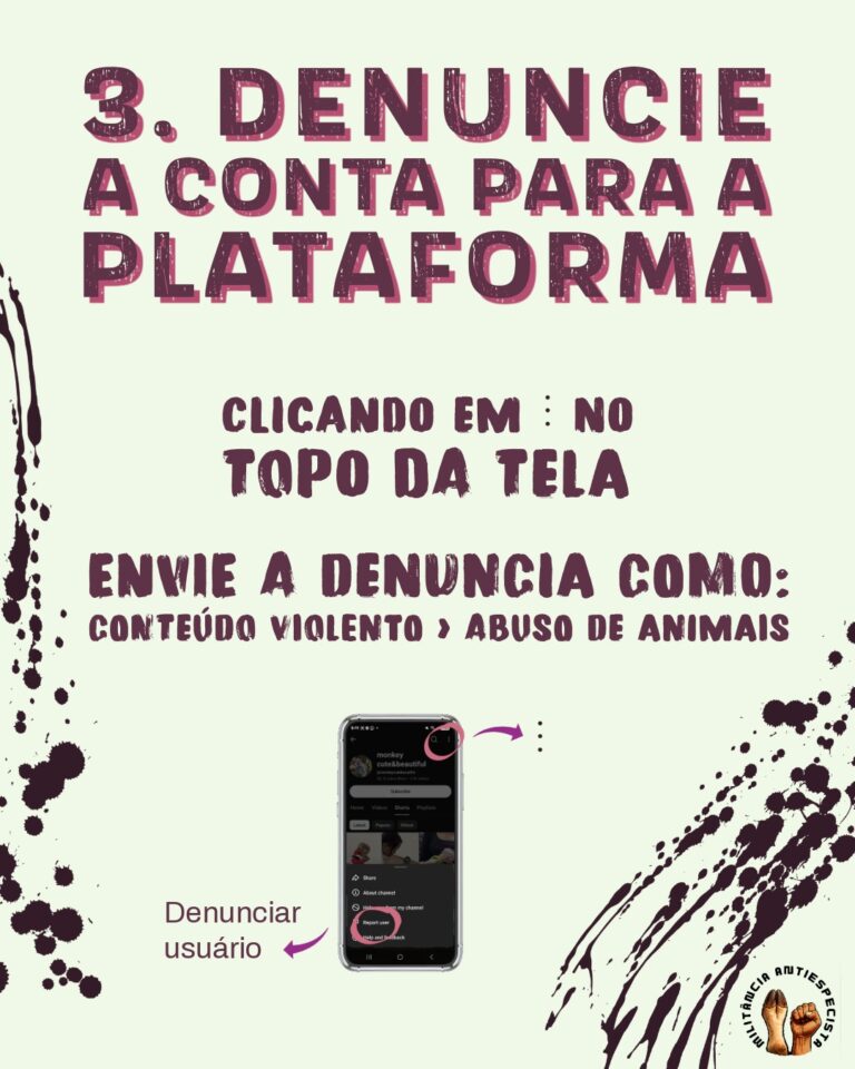 zoosadismo denuncia2-5