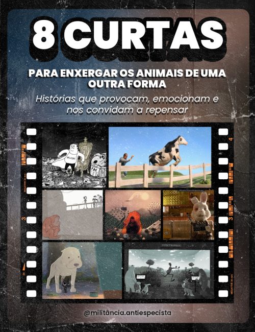 8 Curtas-1