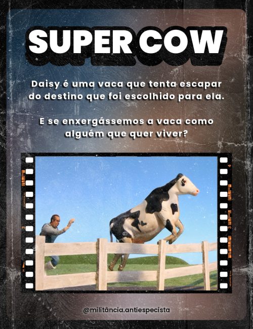 8 Curtas-5