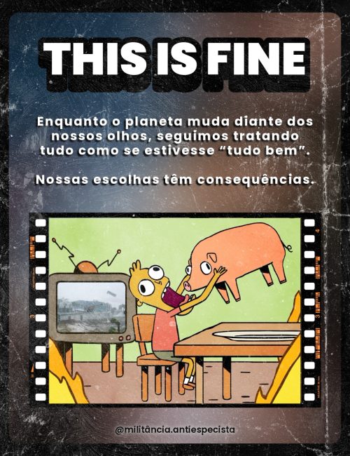 8 Curtas-7