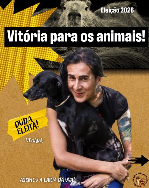 vitoria eleiçoes 2026-2