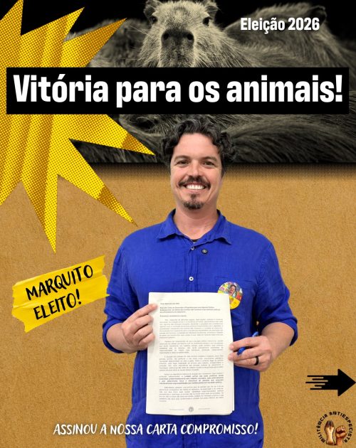 vitoria eleiçoes 2026-3