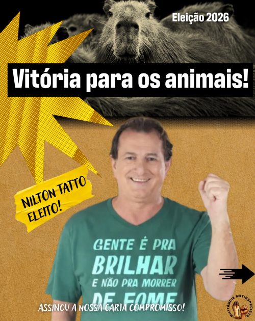 vitoria eleiçoes 2026-5