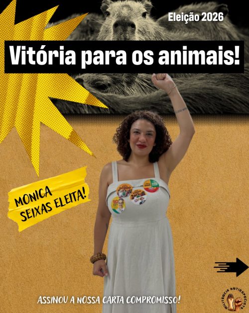 vitoria eleiçoes 2026-6