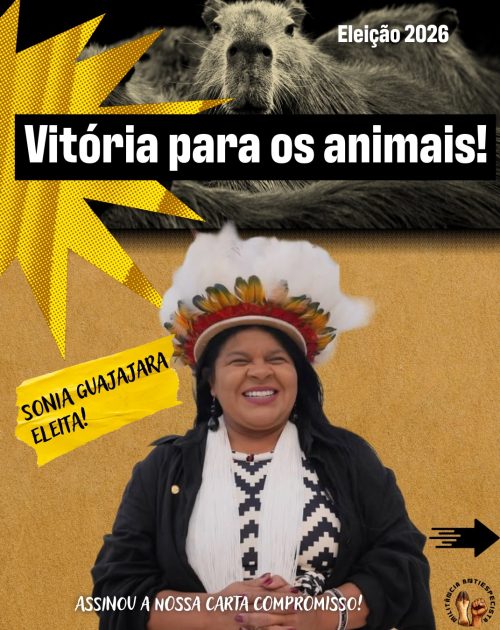 vitoria eleiçoes 2026-7