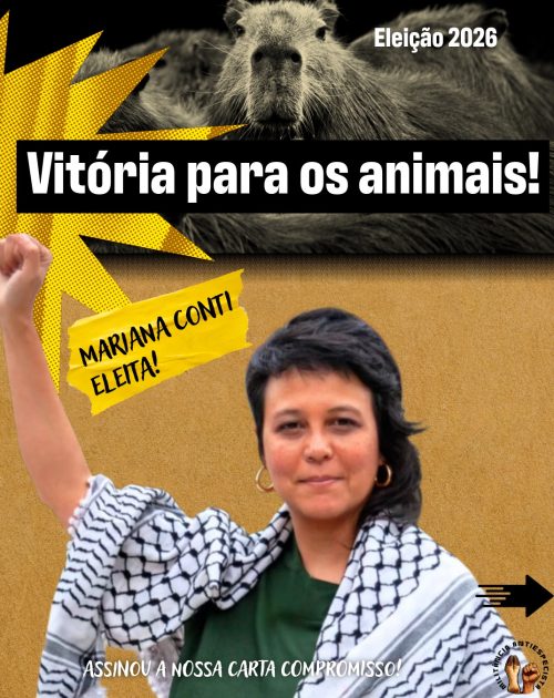 vitoria eleiçoes 2026-8