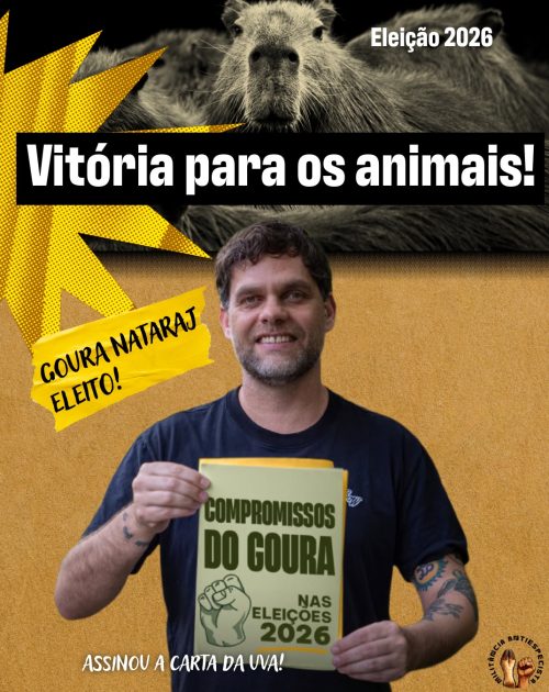 vitoria eleiçoes 2026-9